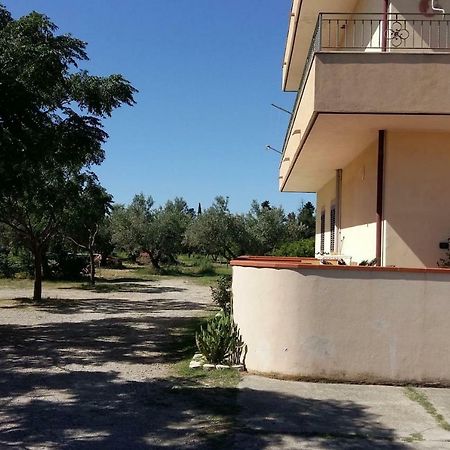 Hotel Zona Tranquilla Nel Verde E Vicino Al Mare Sellia Marina Exterior foto